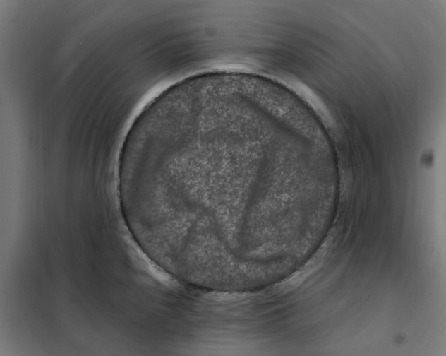 X0000101711240200808071215