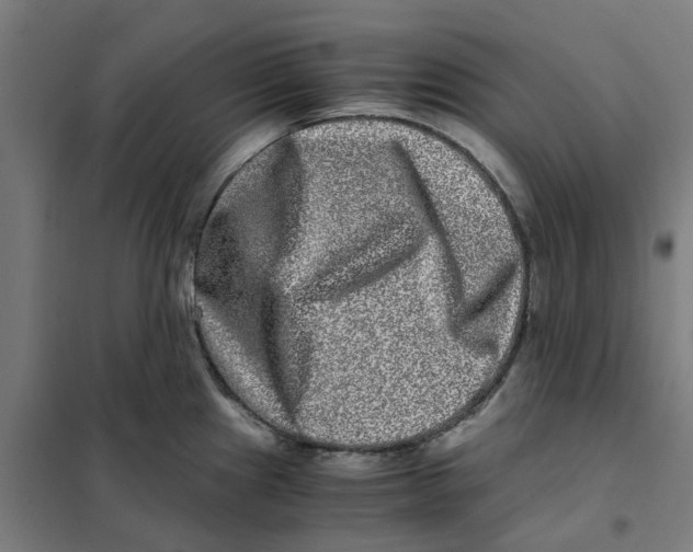 X0000101711241200808071215