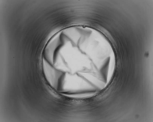 X0000101711242200808071215
