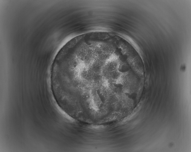 X0000101711243200808071215