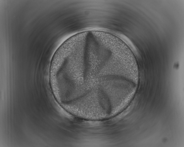 X0000101711244200808071215