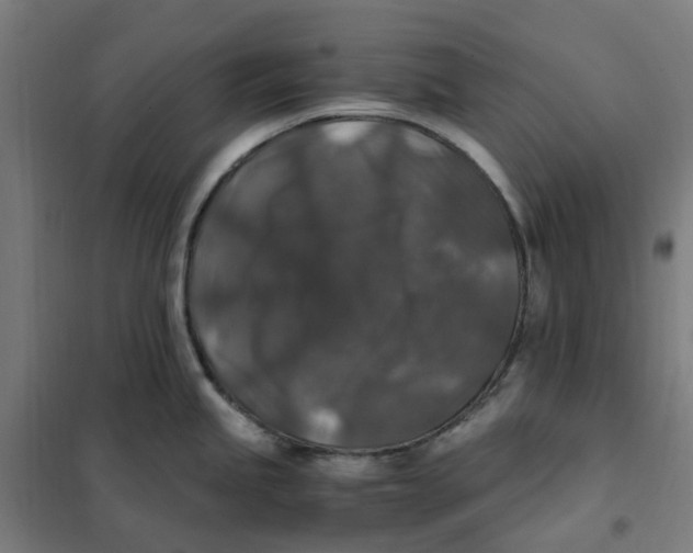 X0000101711245200808071215