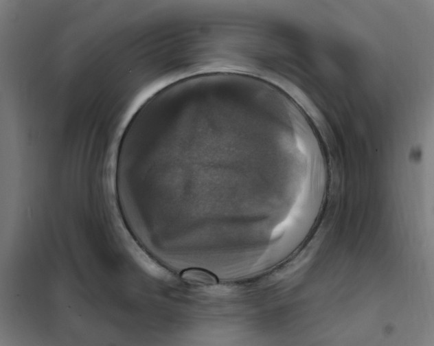 X0000101711246200808071215