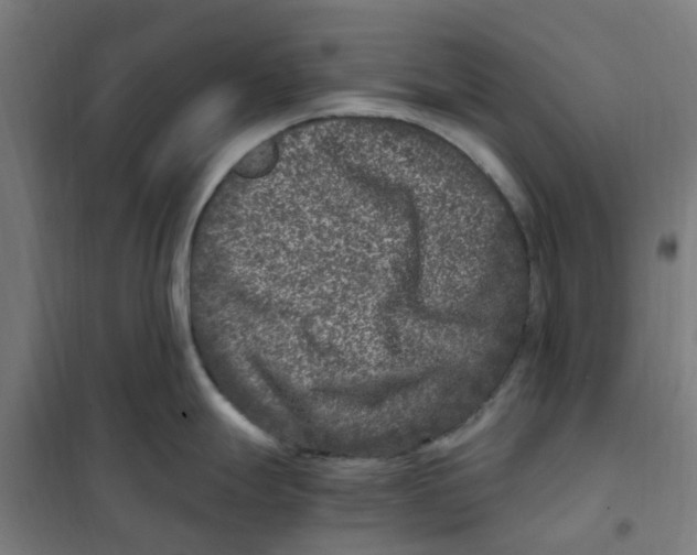 X0000101711247200808071215