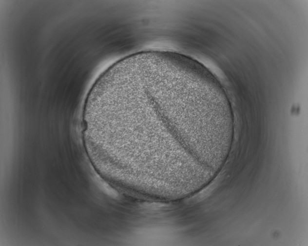 X0000101711248200808071215