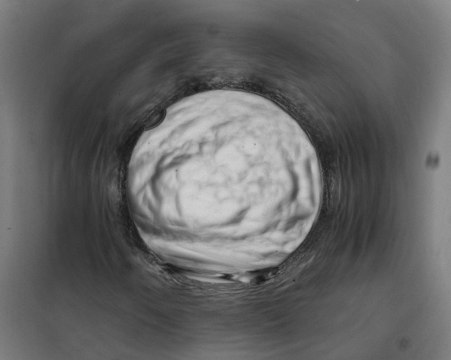 X0000101711250200808071214