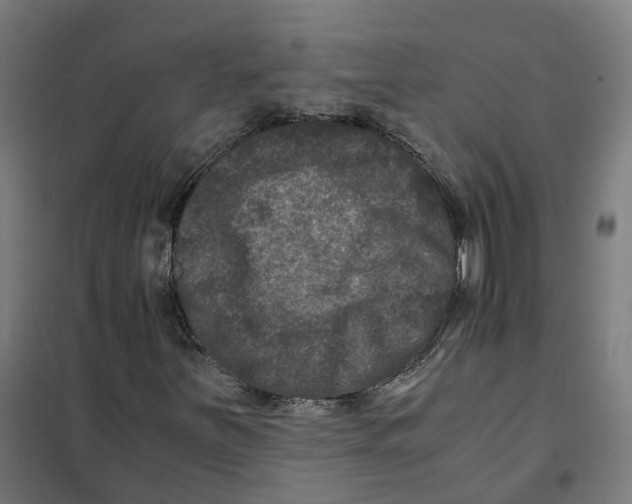 X0000101711251200808071214