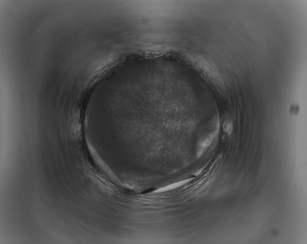 X0000101711252200808071214