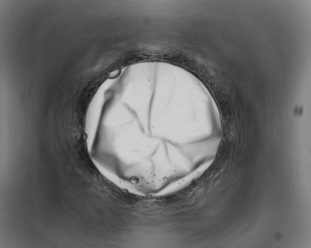 X0000101711253200808071214