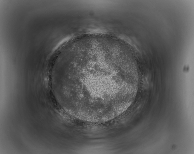 X0000101711254200808071214