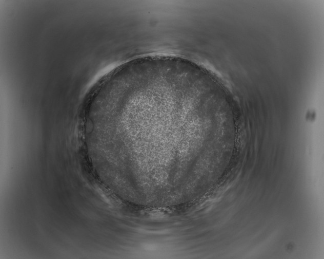 X0000101711255200808071214