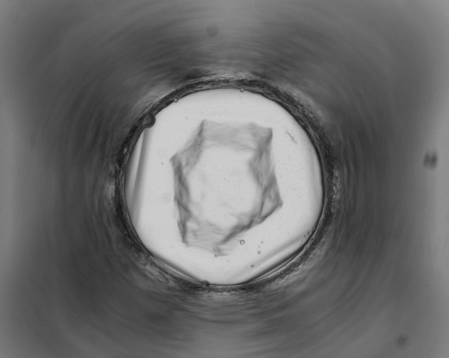 X0000101711257200808071214