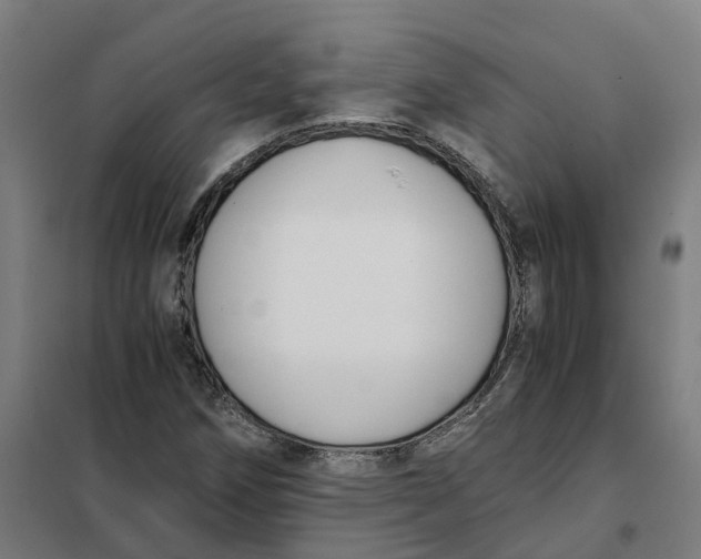 X0000101711258200808071214