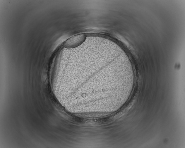 X0000101711259200808071214