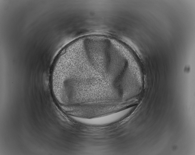 X0000101711260200808071214