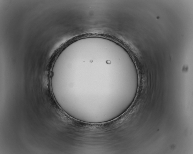 X0000101711262200808071214