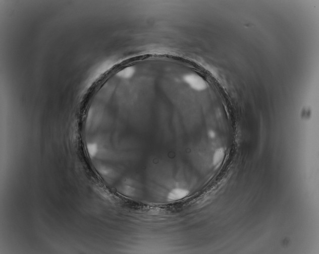 X0000101711263200808071214