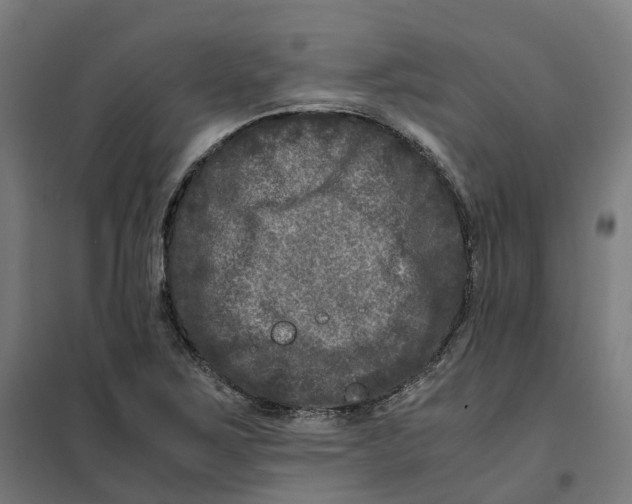 X0000101711267200808071214