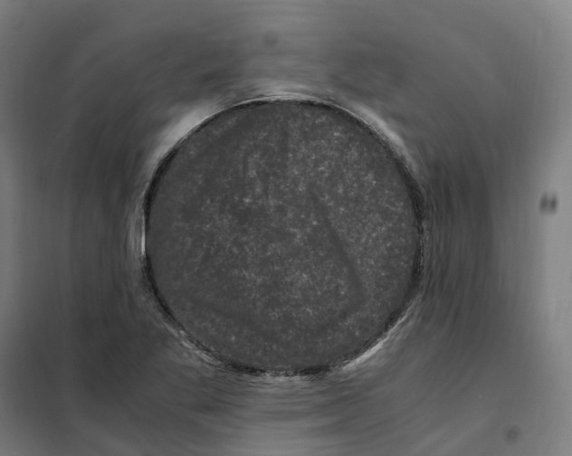 X0000101711269200808071214