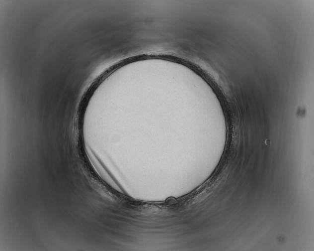 X0000101711270200808071214