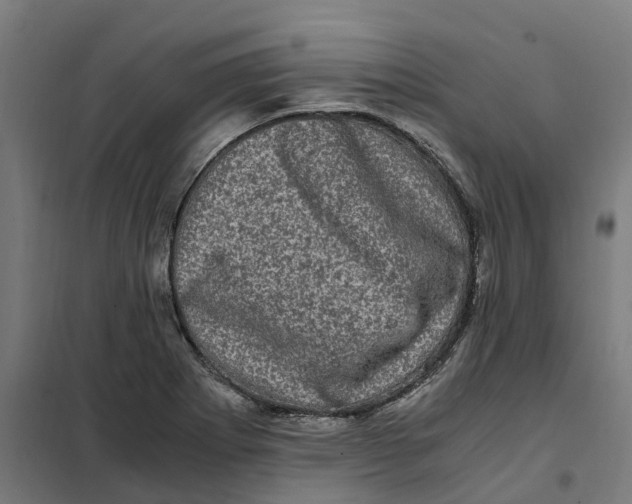 X0000101711273200808071214