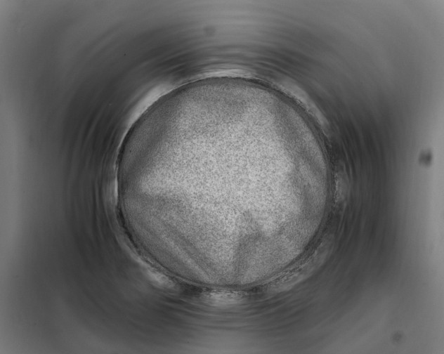 X0000101711274200808071214