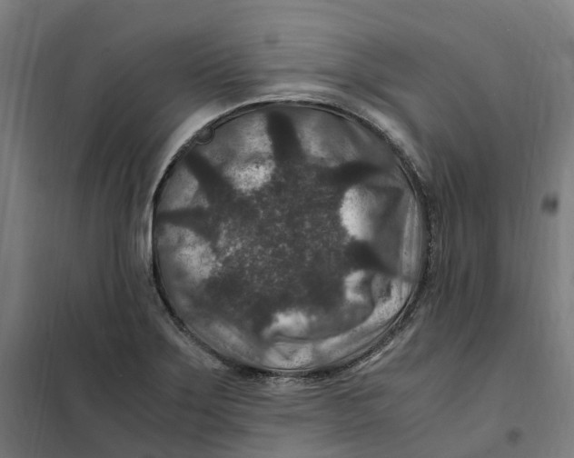 X0000101711275200808071214