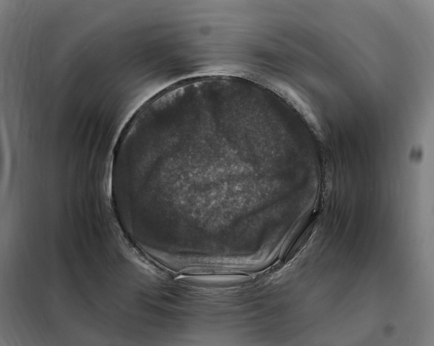 X0000101711276200808071214