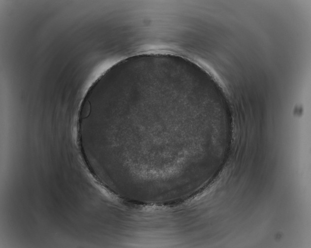 X0000101711277200808071214