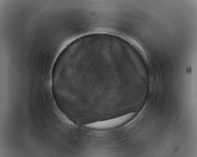 X0000101711280200808071214