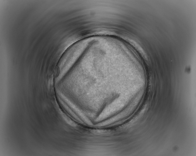 X0000101711281200808071214