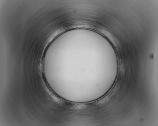 X0000101711282200808071214