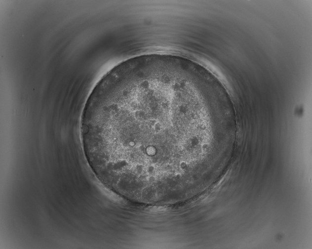 X0000101711283200808071214