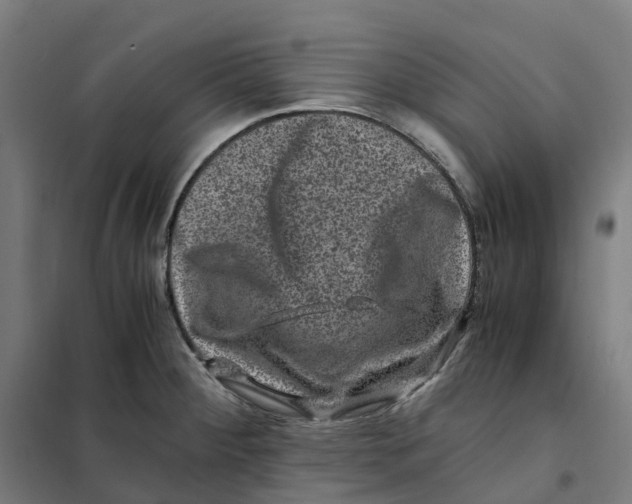 X0000101711284200808071214