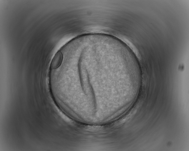 X0000101711285200808071214