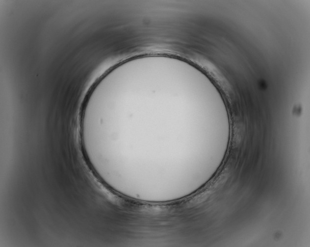 X0000101711286200808071214