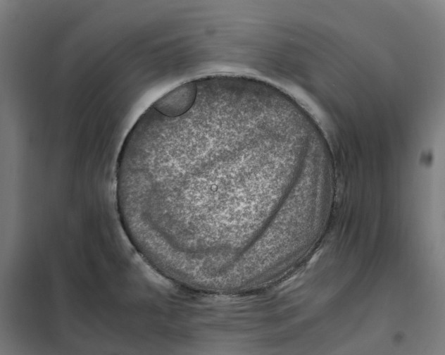 X0000101711287200808071214