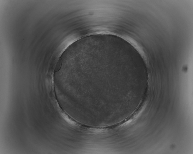 X0000101711289200808071214