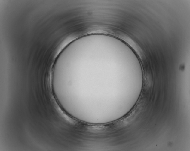 X0000101711290200808071214