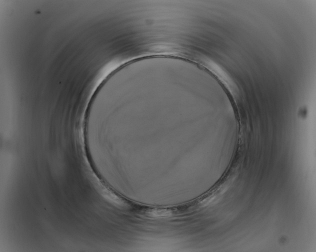 X0000101711291200808071214