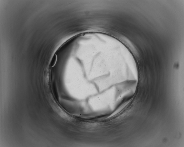 X0000101711292200808071214