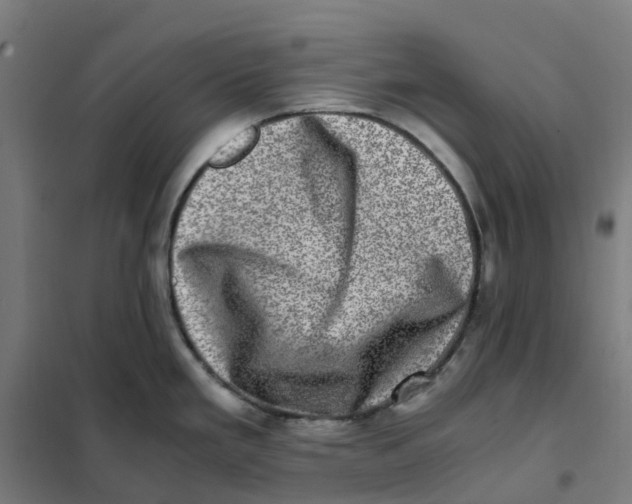 X0000101711293200808071214