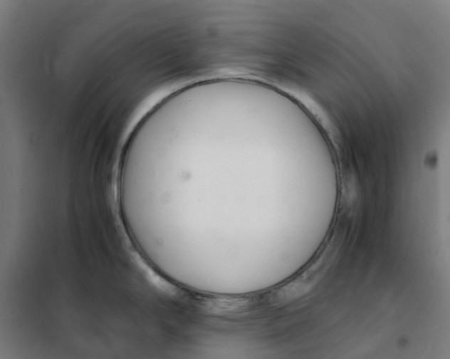 X0000101711294200808071214