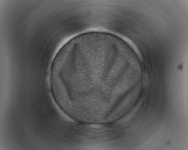 X0000101711295200808071214