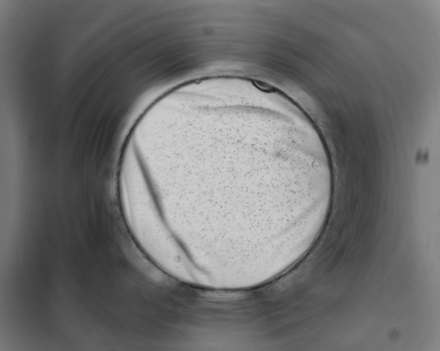 X0000101711296200808071214