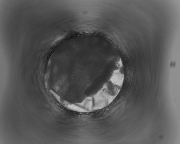 X0000101711297200808071213