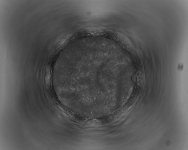 X0000101711298200808071213