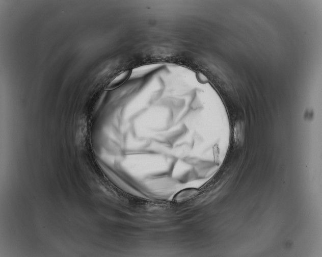X0000101711299200808071213