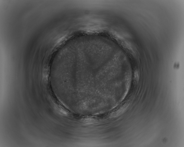 X0000101711300200808071213