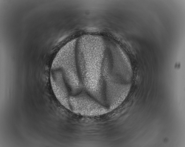 X0000101711301200808071213